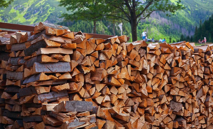 Как выбрать лучшие дрова (6 фото)