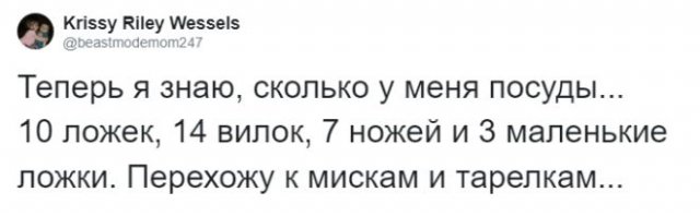 Люди рассказали, чем занимаются на карантине от скуки