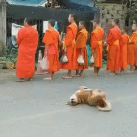 Собака и монахи