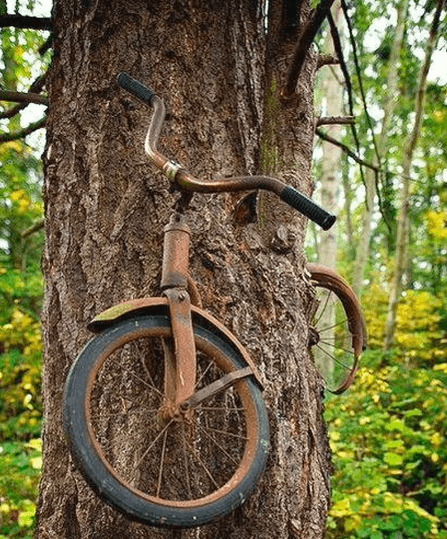 В 1914 году молодой человек ушел в армию и спрятал велосипед в лесу