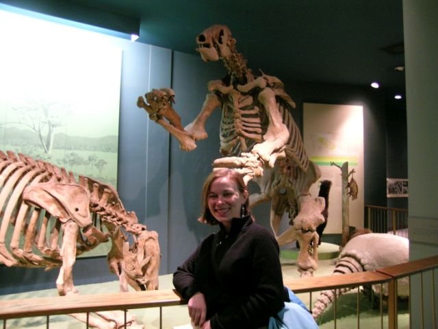 Скелеты гигантских ленивцев