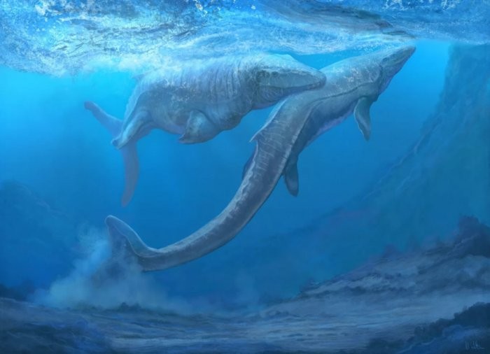 Водоплавающий тираннозавр или самый могущественный ящер моря (7 фото)