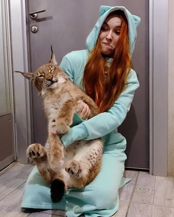 Девушка из Санкт-Петербурга спасла двух рысей и приютила (15 фото)