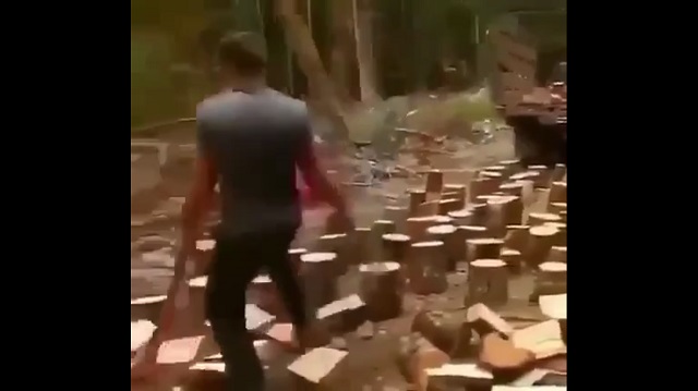 Когда дрова рубит настоящий профессионал