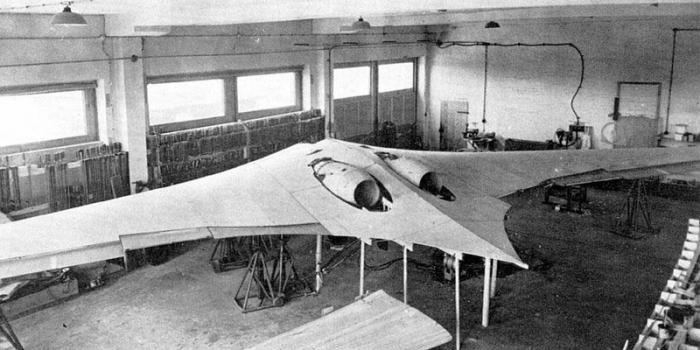Первый в мире самолет-невидимка: секретный проект Рейха (7 фото)