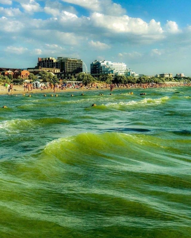 Туристы жалуются, что Черное море превратилось в зеленую кашу (4 фото)