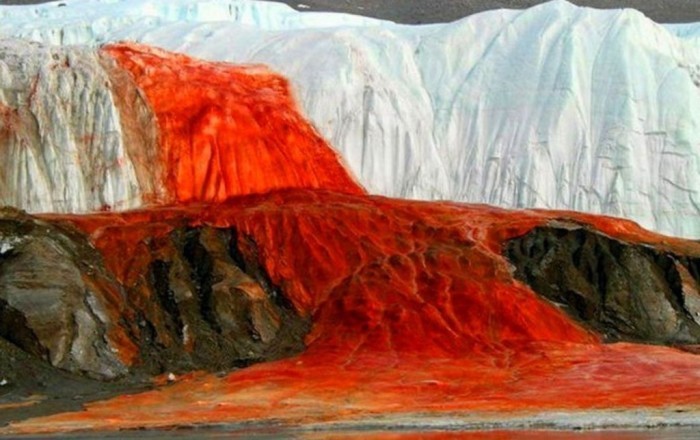 Загадка «кровавого» водопада в Антарктиде (7 фото)