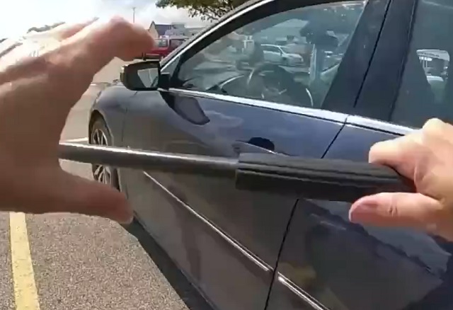 Люди, которые запирают животных в машине на жаре, заслуживают разбитых стекол