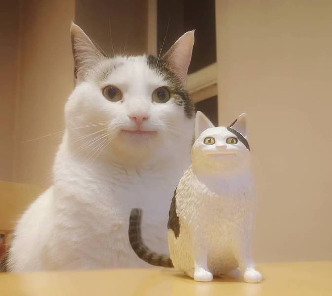 Улыбающийся кот и статуэтка