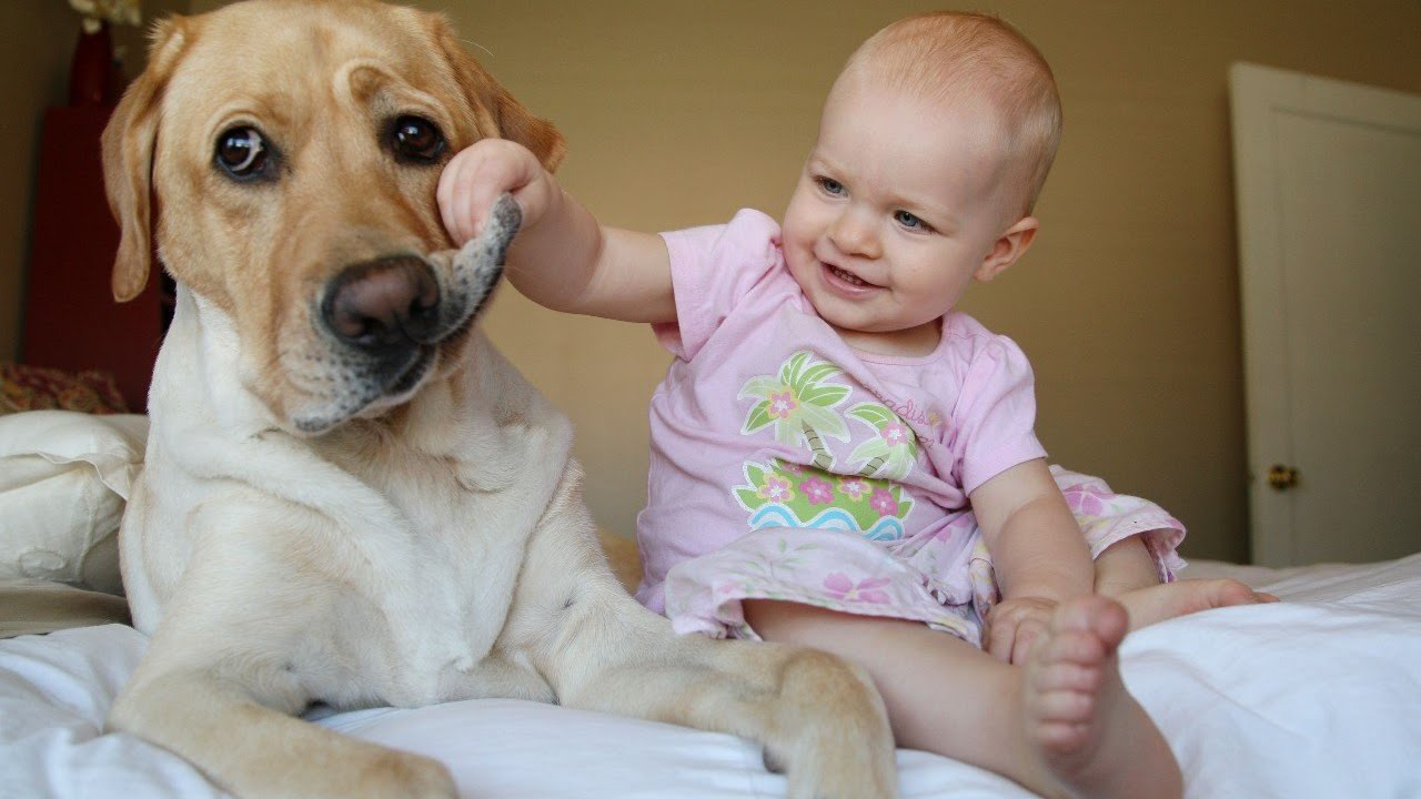 Доброта в мире живет в маленьких сердцах: самые добрые и самые милые фотографии детей с животными