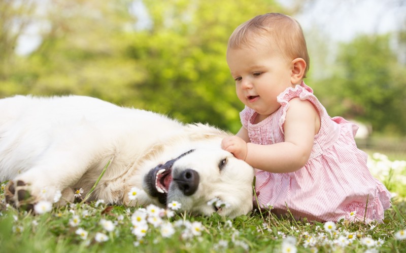 Доброта в мире живет в маленьких сердцах: самые добрые и самые милые фотографии детей с животными