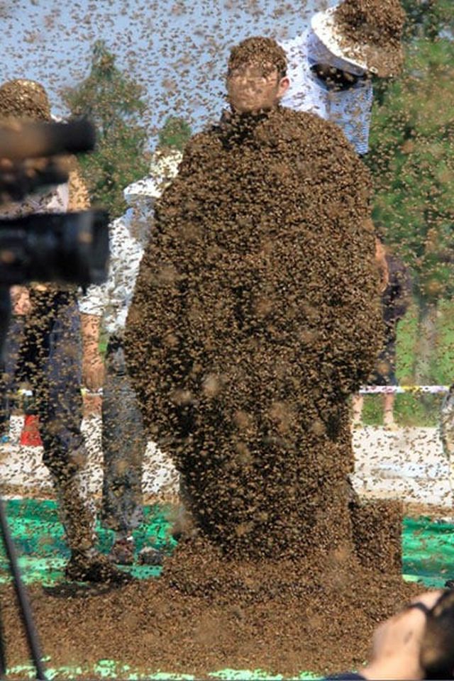 Все тело Жуань Лянмина в пчелах