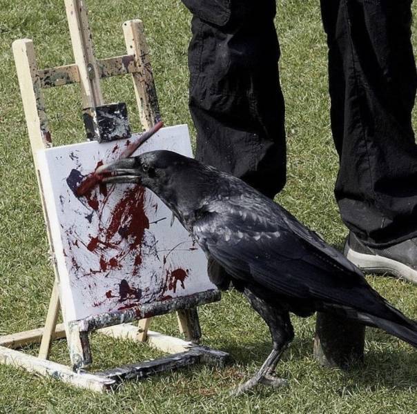 Ворон рисует картину