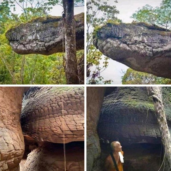 Пещера в Таиланде похожа на гигантскую окаменевшую змею