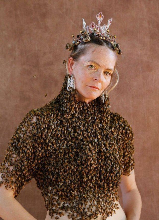 Много пчёл