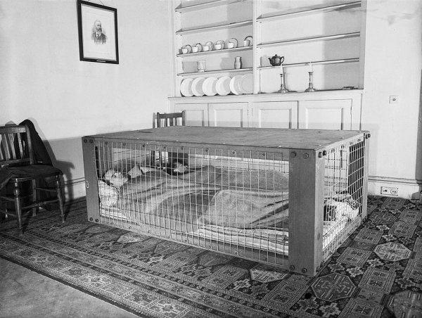 Британская пара спит в «Убежище Моррисона»