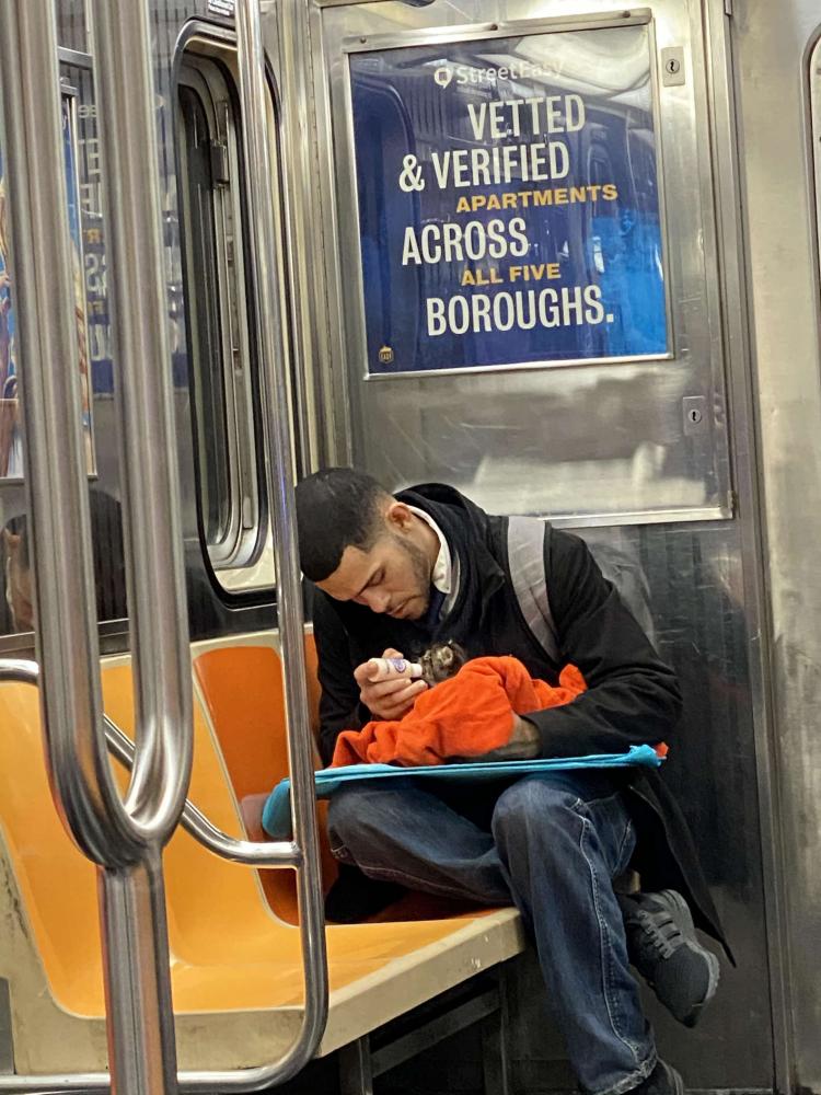 Веру в человечество возвращает фото незнакомца с котенком в метро
