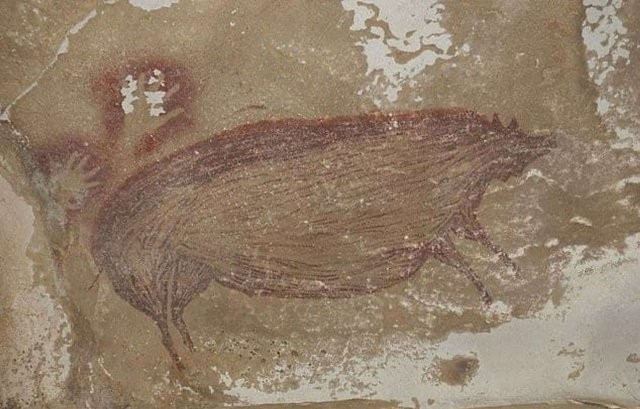 Древнейшие наскальные рисунки свиней обнаружены в Индонезии (3 фото)
