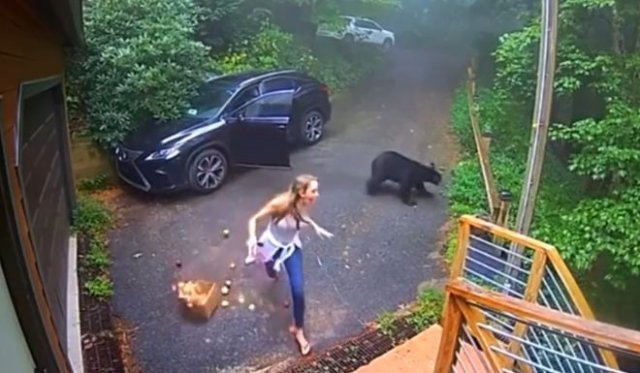 Девушку напугал медведь, который залез в машину