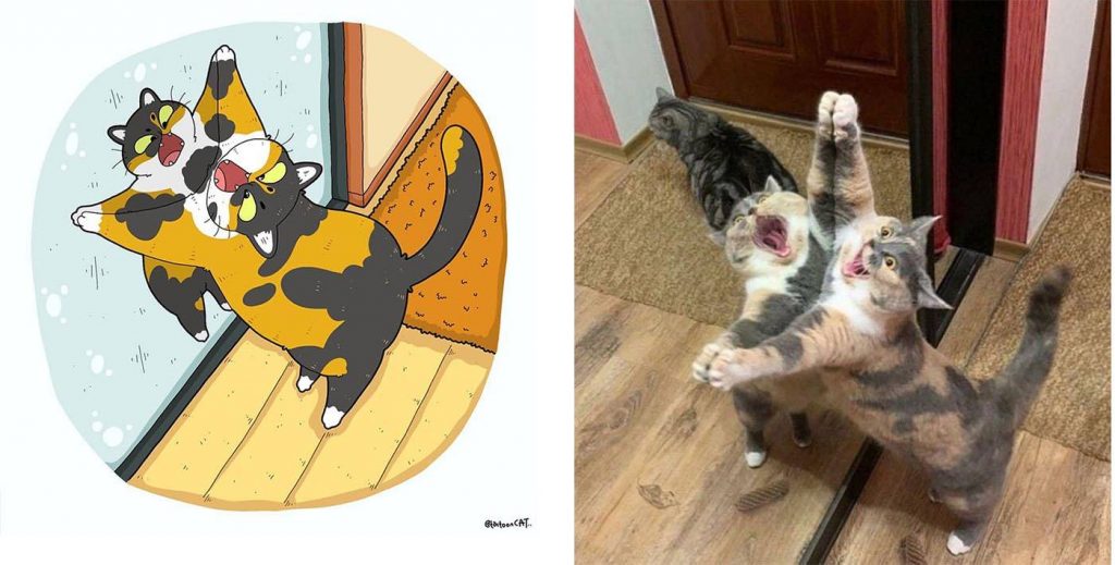 13 фото пародий на популярных котов из интернета
