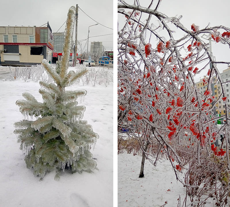 16 сюрпризов от нашей зимушки-зимы, которая может не только морозить, но и нехило удивлять