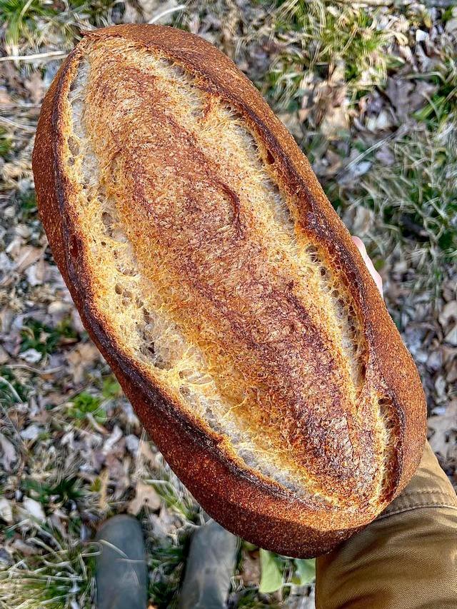 16 видов хлебушка, который вам не продадут в булочной за углом, но можно попробовать испечь их самому