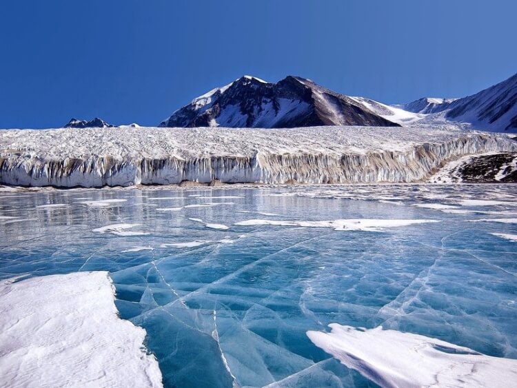 10 очень крутых фактов об Антарктиде, о которых вы наверняка не знали