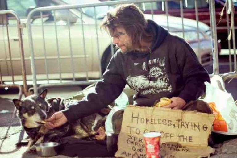 Бездомные, которые отдали все собакам