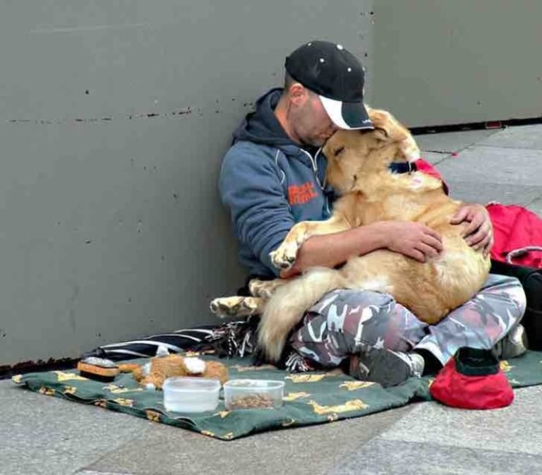 Бездомные, которые отдали все собакам