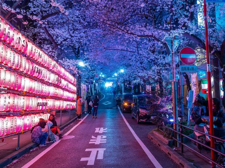 18 атмосферных снимков из Японии, глядя на которые, покажется, словно вы сами там побывали