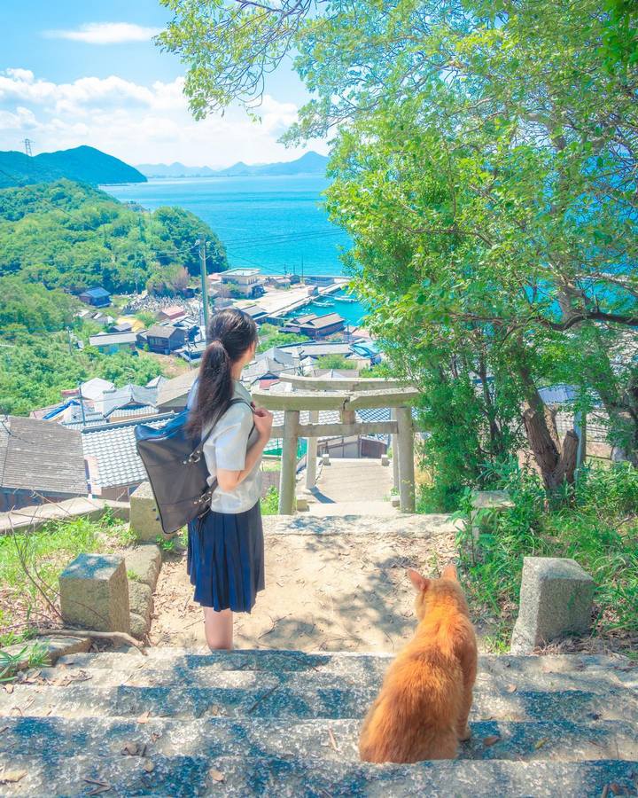 18 атмосферных снимков из Японии, глядя на которые, покажется, словно вы сами там побывали