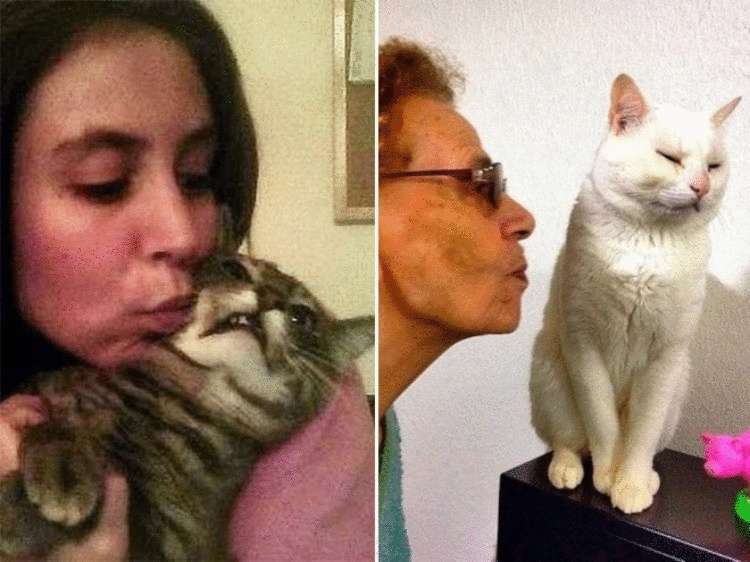 15 котеек, которые терпеть не могут обниматься-целоваться