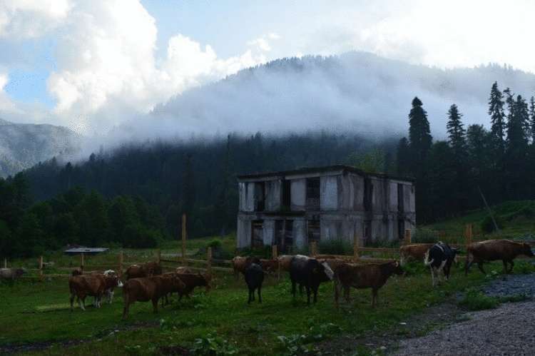 Территория природы и разрушений — Абхазия