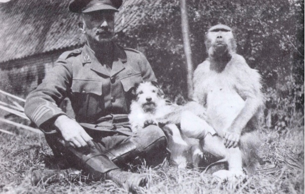 Капрал Джеки — самый необычный герой Первой мировой войны 