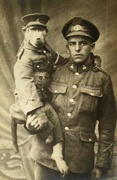 Капрал Джеки — самый необычный герой Первой мировой войны 