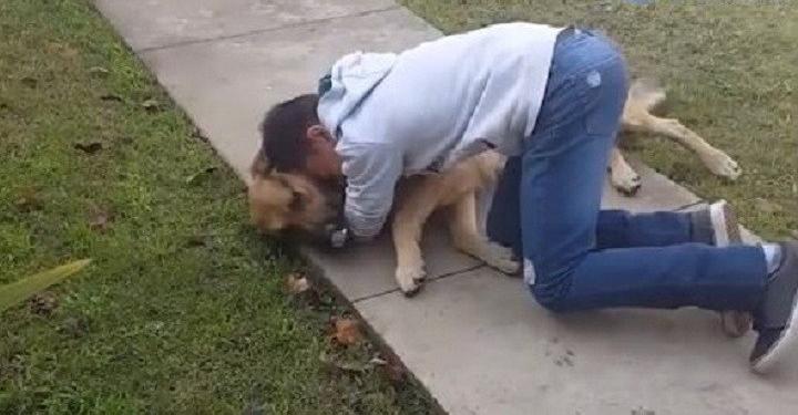 До слез: трогательная встреча хозяина и собаки, которую искали 3 месяца
