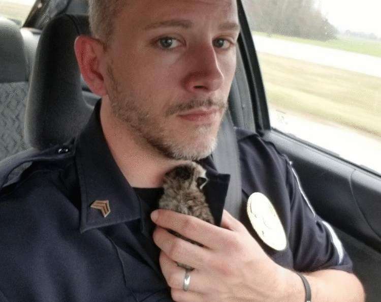 Офицер полиции несколько дней искал новорожденного котенка, чтобы спасти его