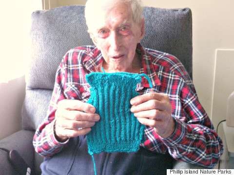 В свои 109 лет австралиец вяжет крошечные свитера для пострадавших пингвинов