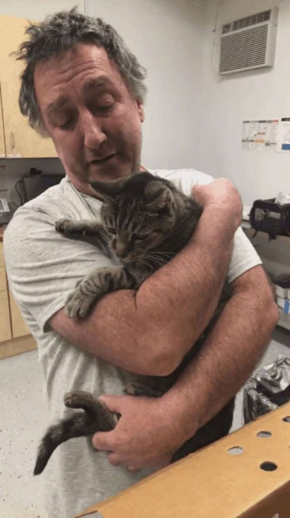 Мужчина нашел своего кота Чебона, который пропал 7 лет назад