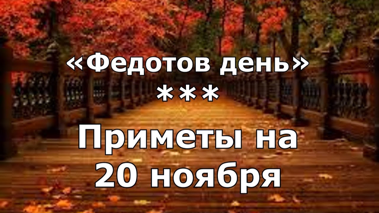 Какой сегодня праздник в России 20 ноября 2018