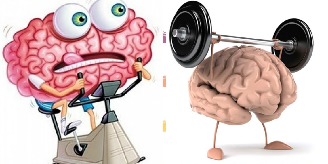 Повышенная умственная активность. Зарядка для мозга. Тренировка мозга. Тренировка головного мозга. Подзарядка мозга.
