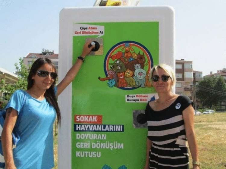 Автоматы для сбора пластика на улицах Стамбула кормят бездомных животных
