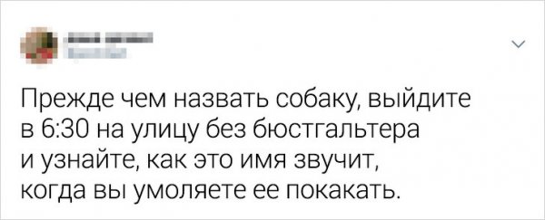 Подборка забавных и житейских твитов от девушек