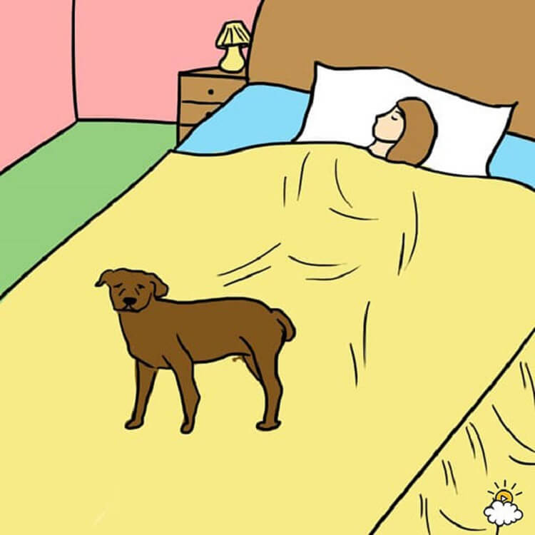 7 очень важных причин, почему ваша собака должна спать с вами в кровати