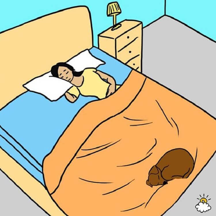 7 очень важных причин, почему ваша собака должна спать с вами в кровати