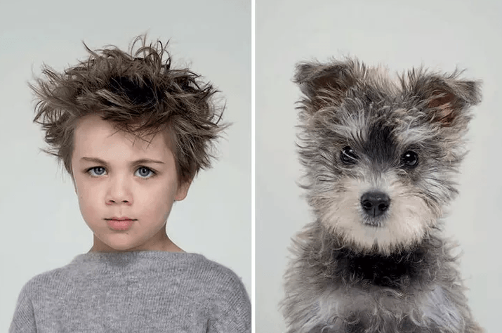 Фотографии доказывающие, что собаки похожи на своих владельцев