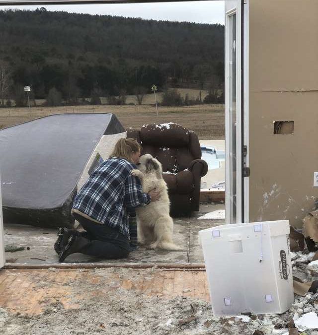 Семья была вынуждена оставить собаку дома за мгновение до торнадо