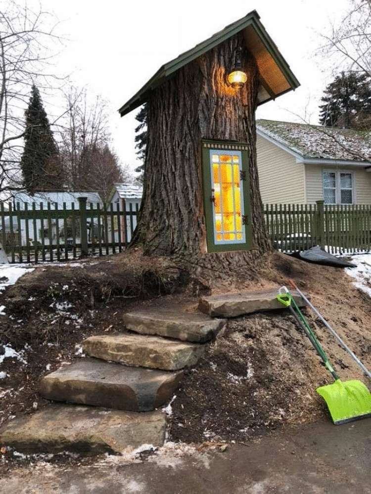 Превратив 110-летнее высохшее дерево в маленькую библиотеку, женщина удивила всех