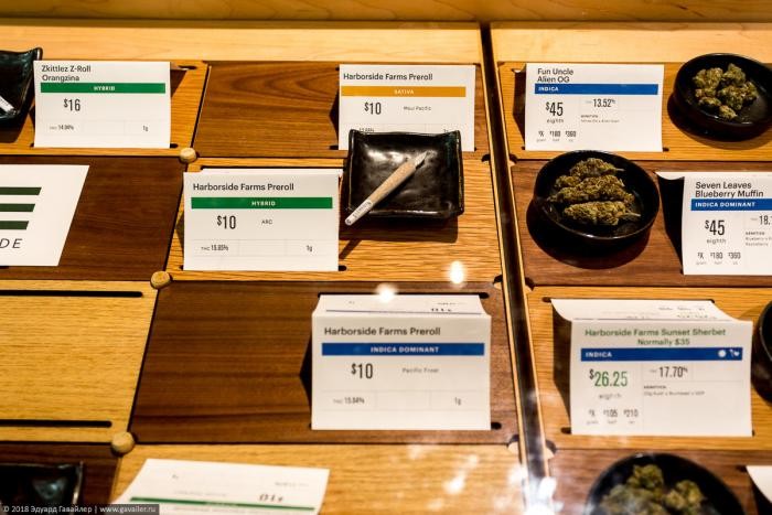 Как выглядит магазин марихуаны в Калифорнии (20 фото)