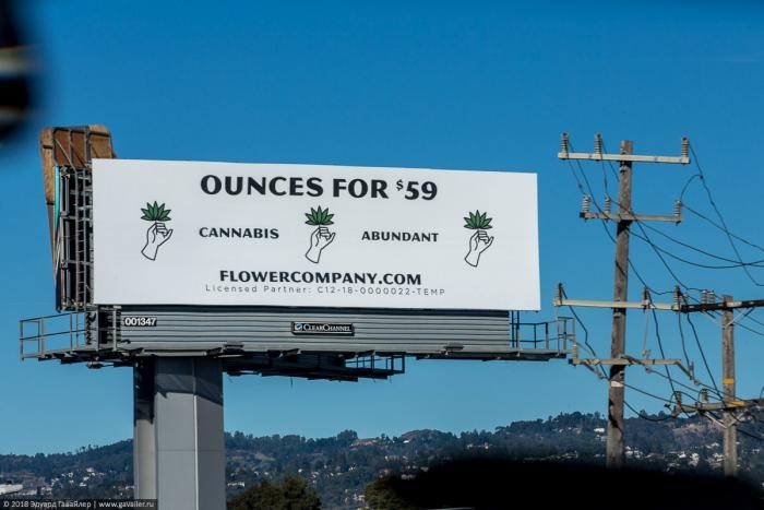 Как выглядит магазин марихуаны в Калифорнии (20 фото)